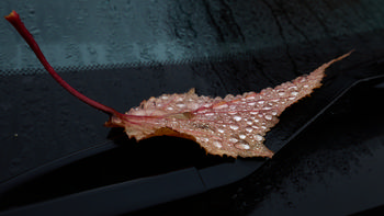 This is a still life photograph taken on an autumn morning, featuring a single leaf covered in water droplets resting on the black surface of a car windshield and wiper. The leaf displays autumnal colors and its surface is dotted with clear droplets of water, suggesting recent rainfall or dew. The background is composed of the misted glass of the windshield, which further emphasizes the cool, moist atmosphere typical of early autumn mornings.
